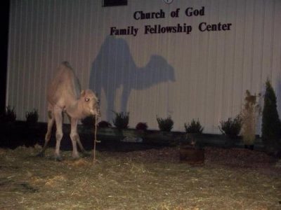 A Trip to Bethlehem Image